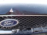 Ford (Форд) Fokus универсал